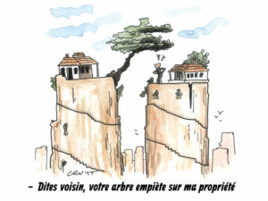 propriete mitoyenne